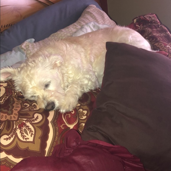 Meet your posher, Kelsie πππ - Picture 2 of 5